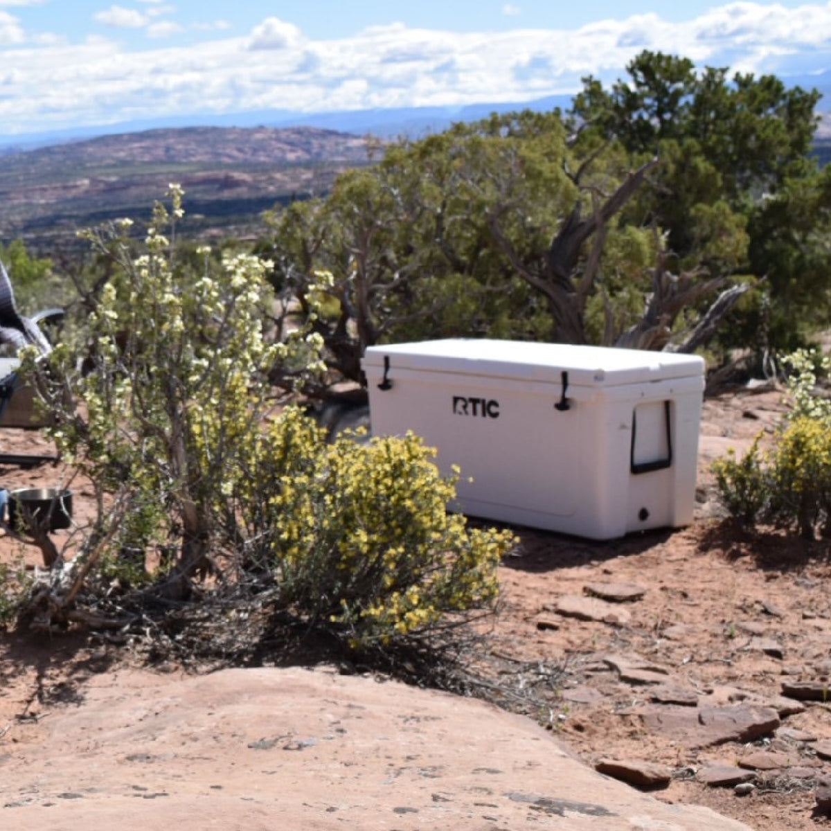 145 QT Ultra-Tough Cooler image 12